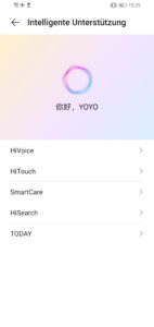 Honor X10 Max Testbericht Screenshot System 6