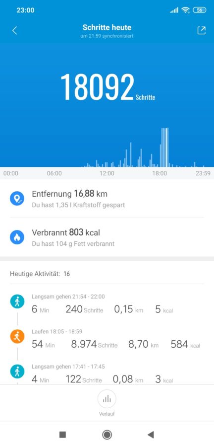 Mi Fit Schritte