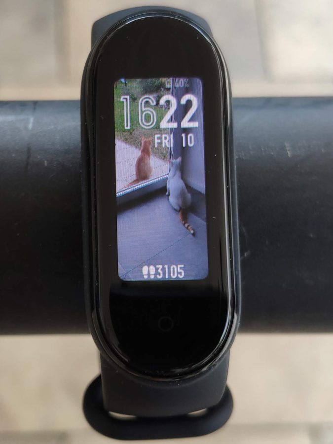 Xiaomi Mi Band 5 Display 1