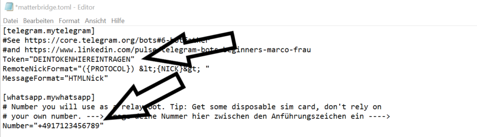 Matterbridge Nummer und Token eintragen