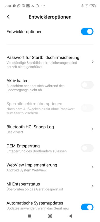 MIUI 12 Entwickleroptionen aktivieren 3