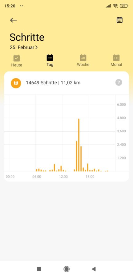 Xiaomi Wear App Schritte