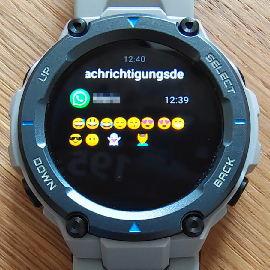 Amazfit T Rex Pro Smileys 01