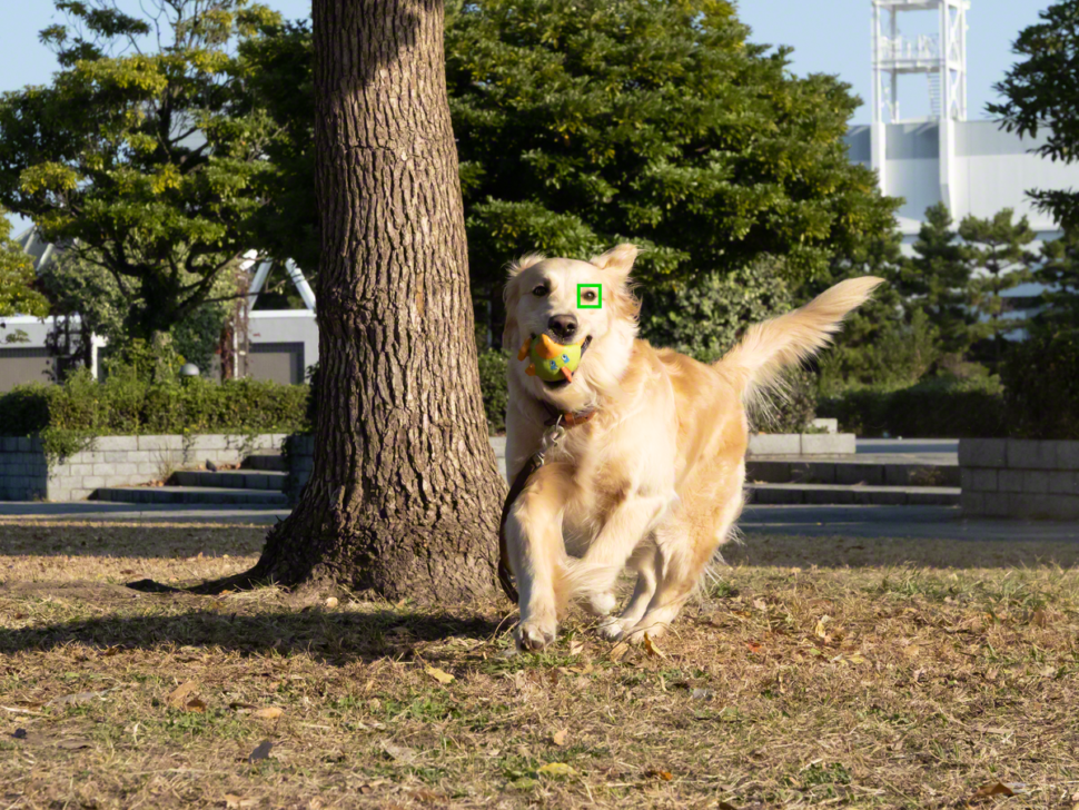 sony xperia 5 iii beispielbild