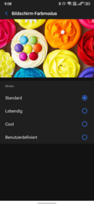 doogee s86 settings display