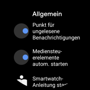 TicWatch Pro 3 Ultra Test Screenshot Uhr Einstellungen 1