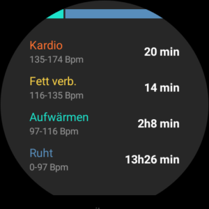 TicWatch Pro 3 Ultra Test Screenshot Uhr Tic Apps 5