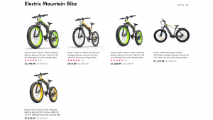 Bezior Hersteller E Bikes 5