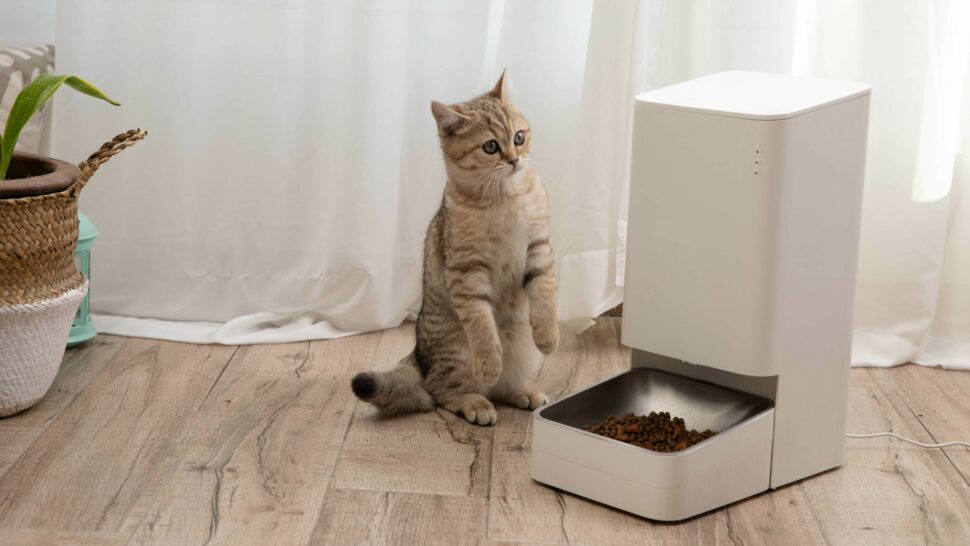 Xiaomi Smart Pet Feeder Sample 1