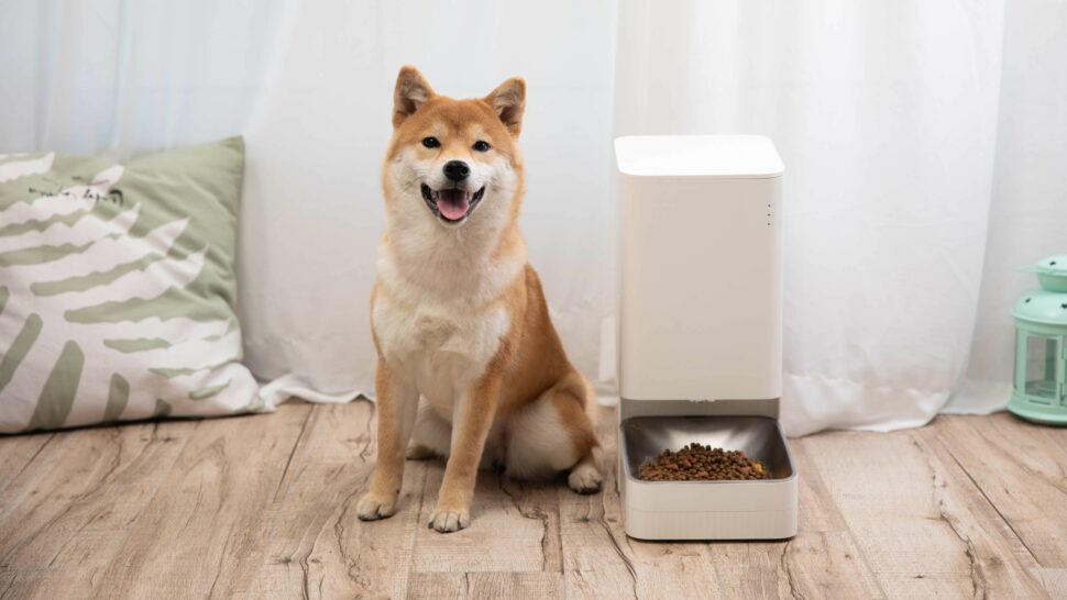 Xiaomi Smart Pet Feeder Sample 2