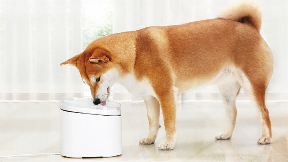 Xiaomi Smart Pet Fountain Sample 1