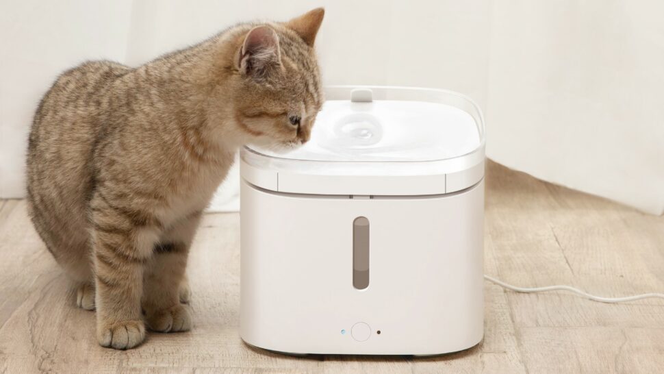 Xiaomi Smart Pet Fountain Sample 2