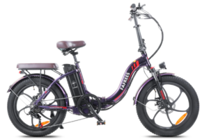 Fafrees F20 Pro E Bike Check Farben 6