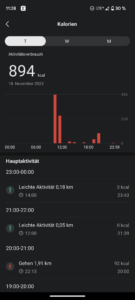 Amazfit Active Test Screenshot Gesundheitsmanagement 3