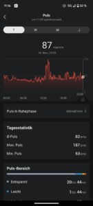 Amazfit Active Test Screenshot Puls 2