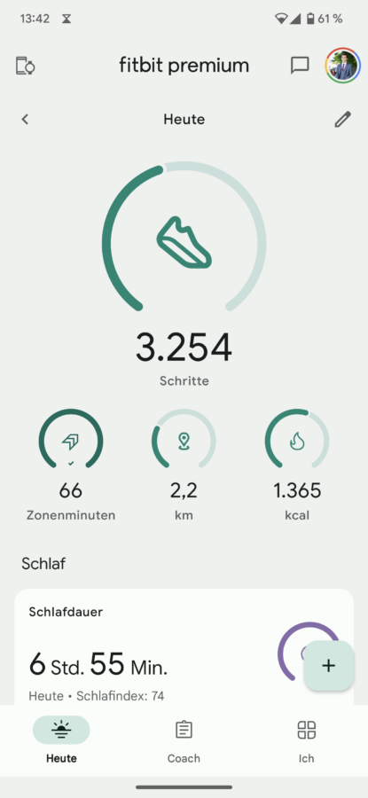 Fitbit Screenshot I