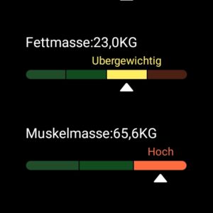 Xiaomi Watch 2 Pro Test Screenshot Sport Gesundheit 3