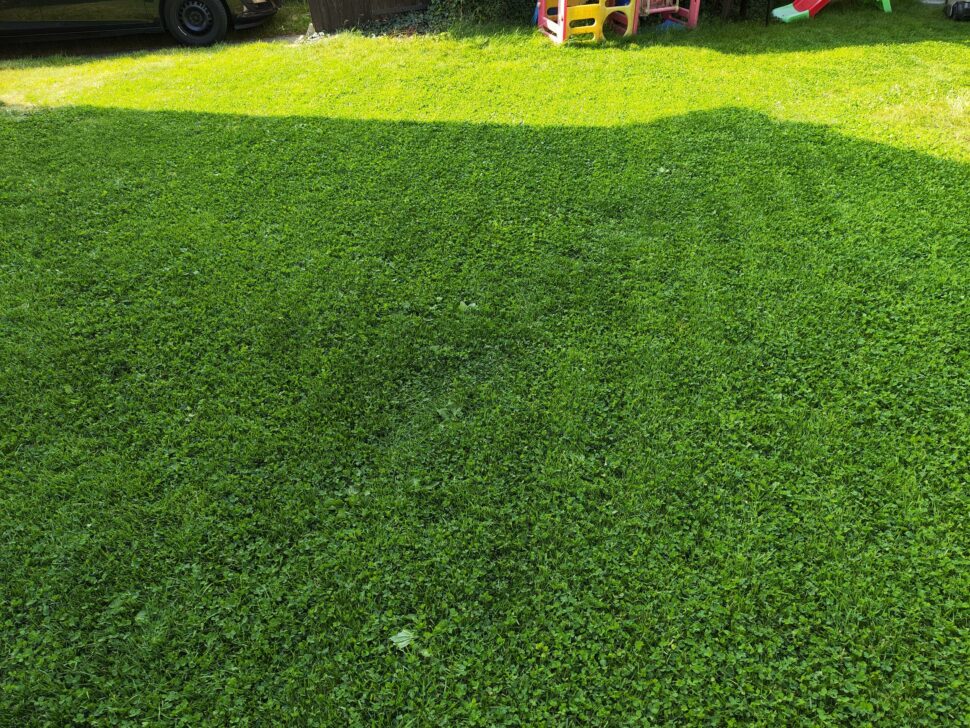 Dreame Roboticmower A1 Schnittbild 1