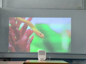 Xiaomi Mi Smart Projector 2 65 Zoll Tageslicht 7