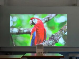 Xiaomi Mi Smart Projector 2 65 Zoll abgedunkelt 2