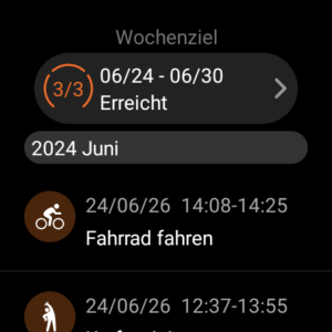 TicWatch Pro 5 Enduro Test Watch Screenshot 10