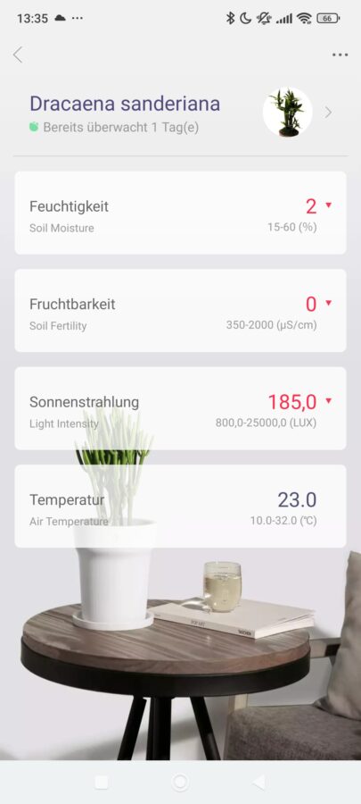 Xiaomi Flower Care App start 2