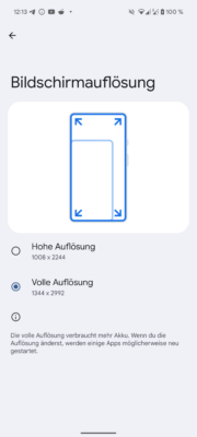 Google Pixel 9 Pro XL Display Settings 3