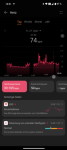Huawei Watch D2 Test Screenshot Gesundheit 5