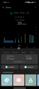 Huawei Watch D2 Test Screenshot Gesundheit 7