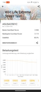 Asus ROG Phone 9 Pro WLext Stresstest