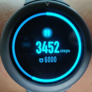 Amazfit Verge Lite Testbericht Amazfit OS 4