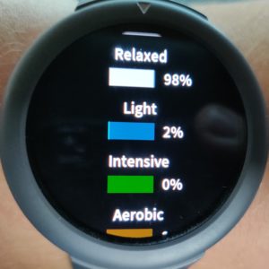 Amazfit Verge Lite Testbericht Amazfit OS 7