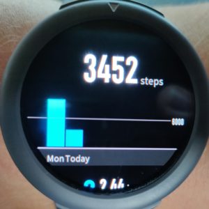 Amazfit Verge Lite Testbericht Amazfit OS 8