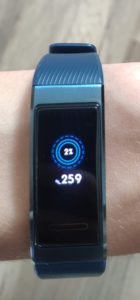 Huawei Band 3 Pro Dsiplay 3